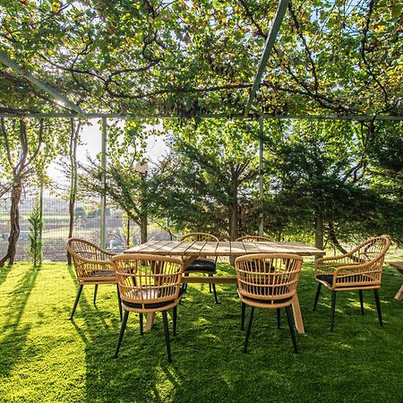 Mirtilo Apartment Oinofyta Kültér fotó