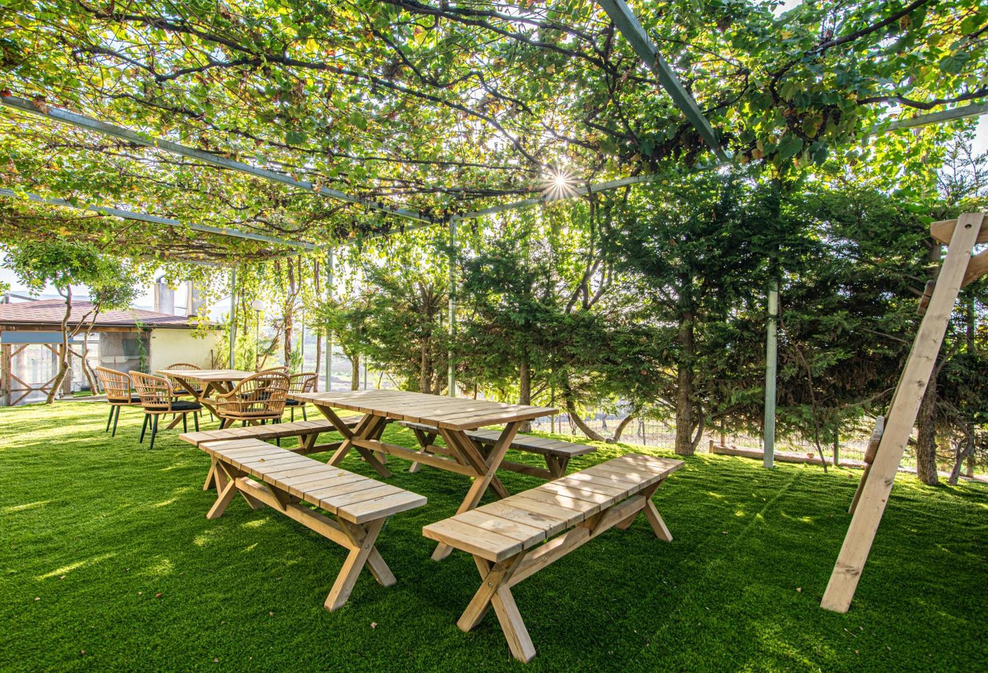 Mirtilo Apartment Oinofyta Kültér fotó