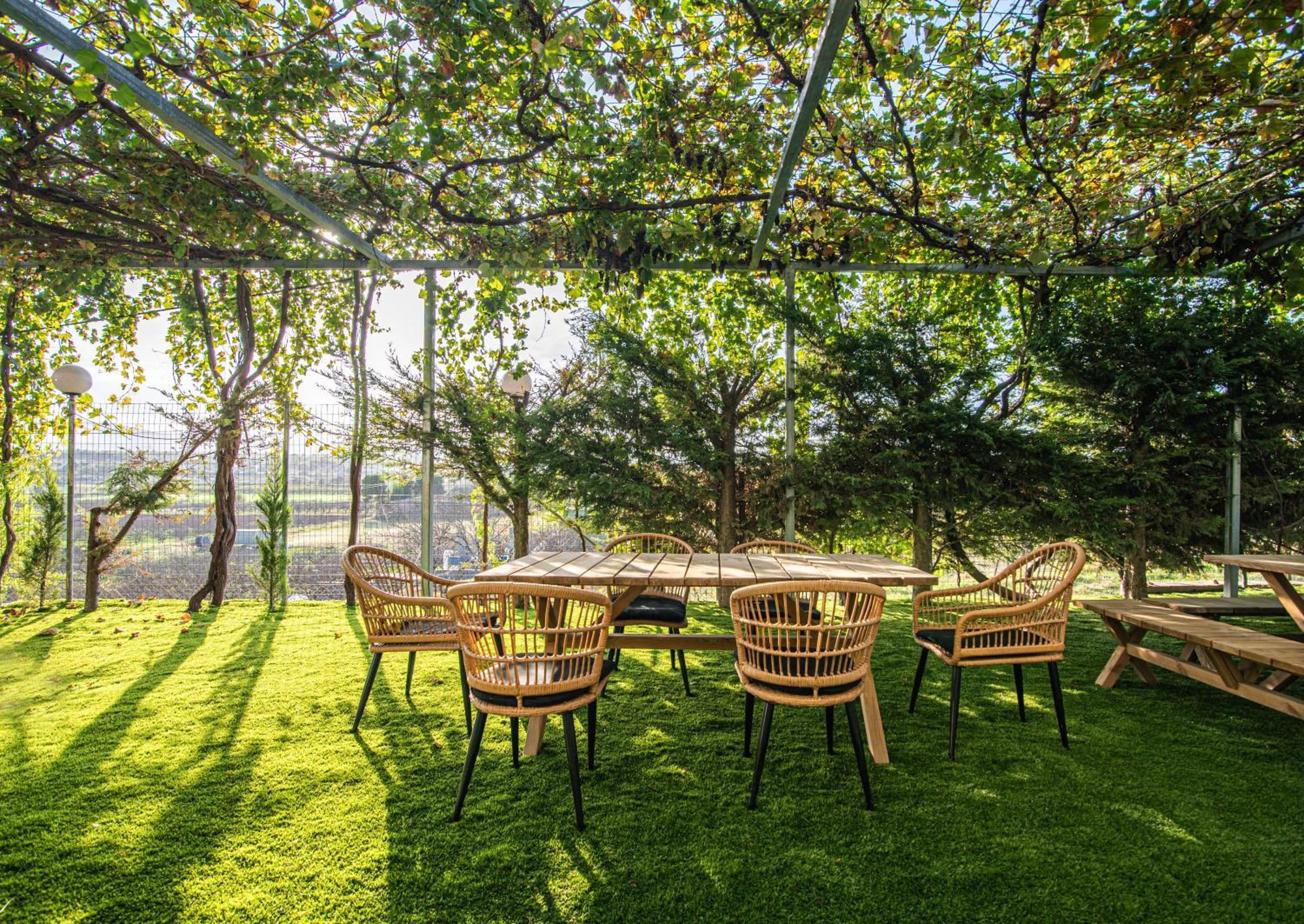Mirtilo Apartment Oinofyta Kültér fotó